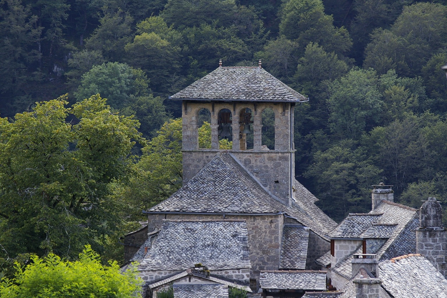 Le coin des petits anges - AgoraVox le média citoyen