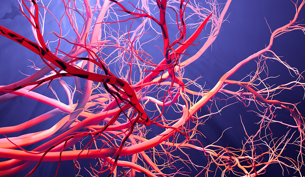 Les secrets de la pathologie