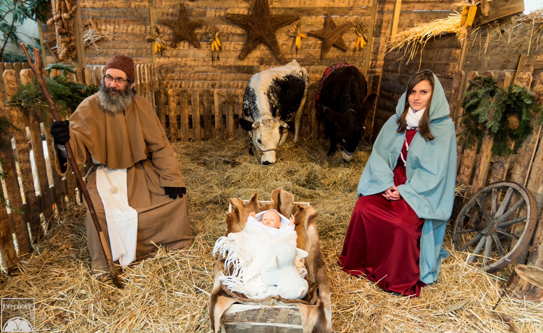 Le Bœuf de la Crèche de Noël 2024 : Un Symbole de Tradition et d'Espérance