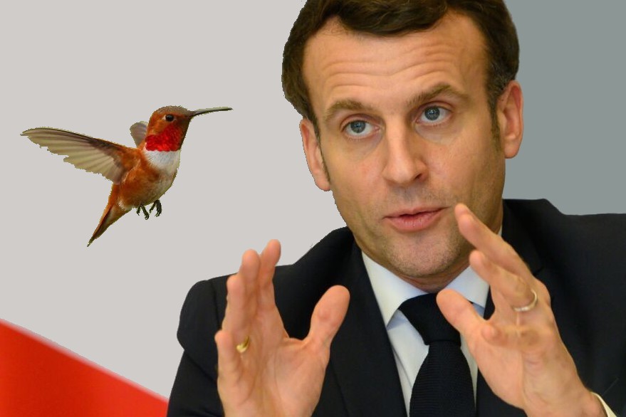 Macron dans la volière