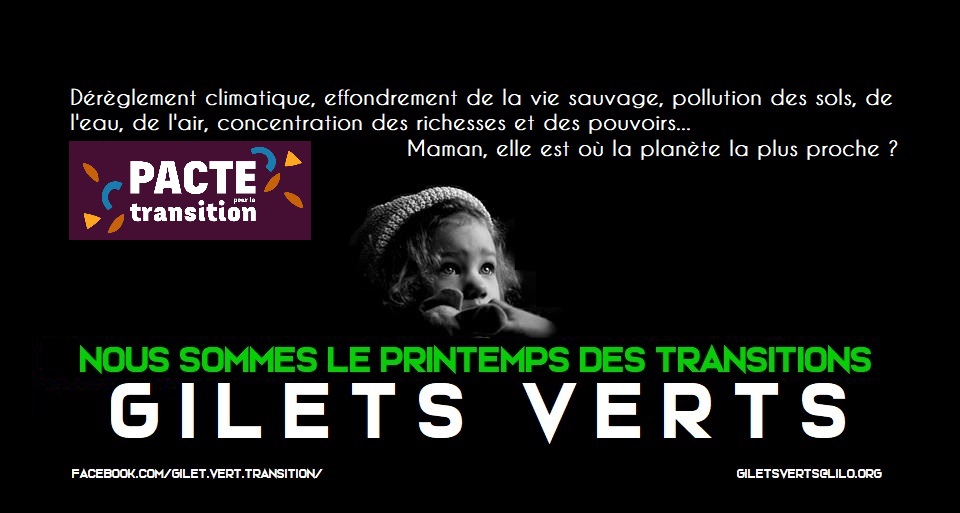 Après la catastrophe, la transition écologique