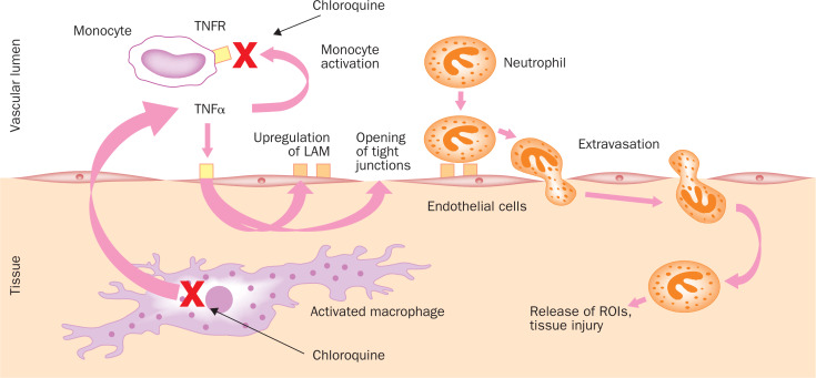 En 2003, le Lancet faisait l'éloge de l'hydroxychloroquine