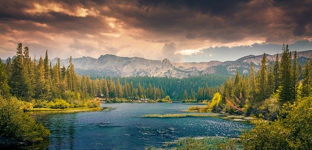 Et si on prenait un bain de forêt ?