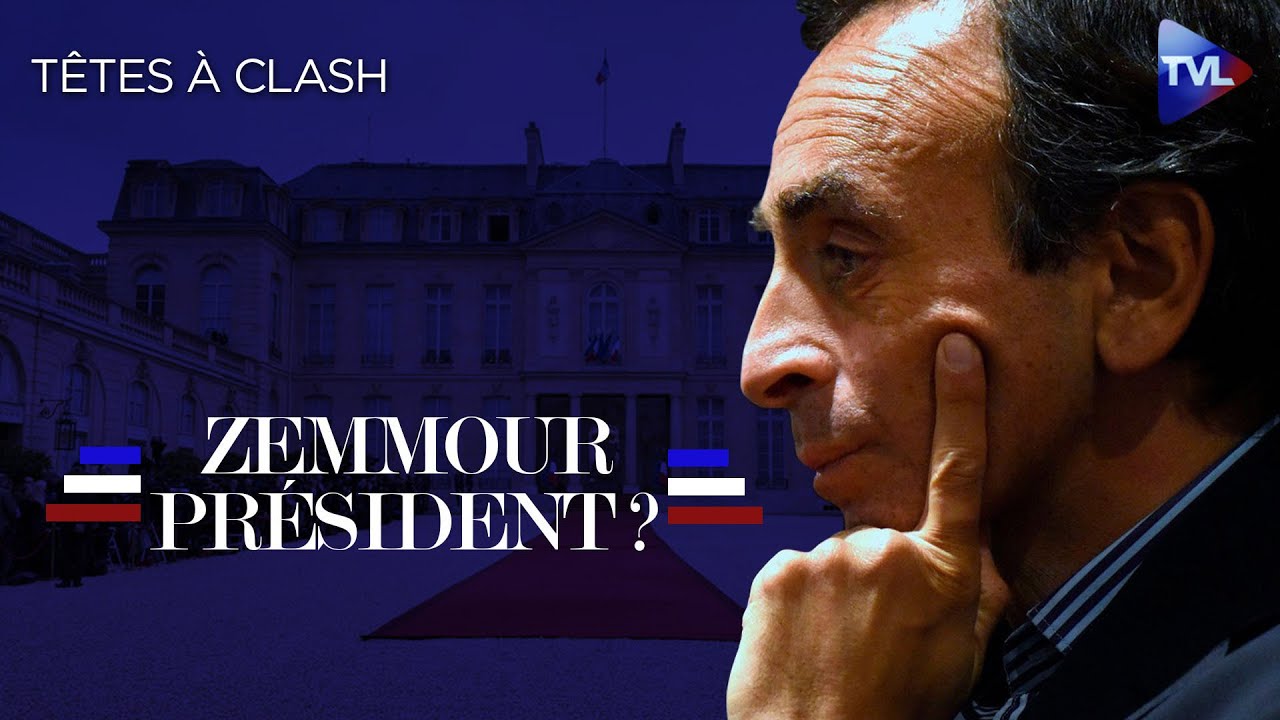 Zemmour Président : l'esprit du taon