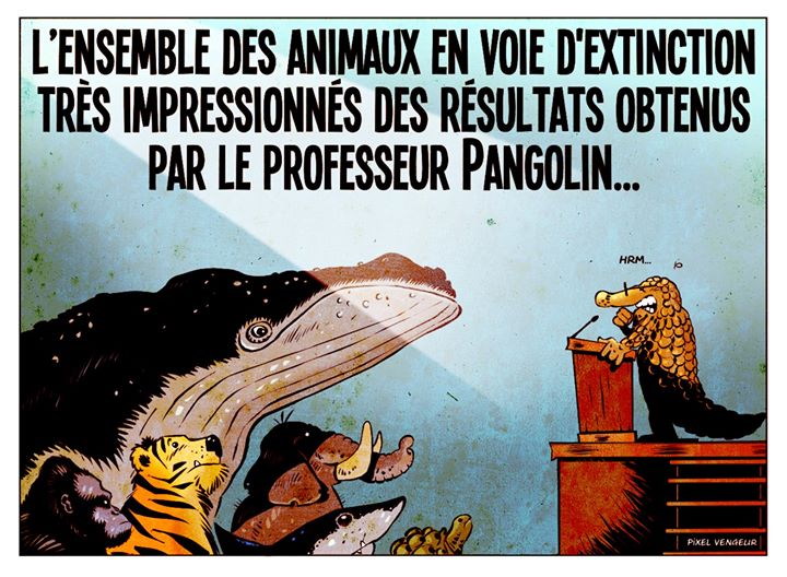 Covid-19 : un mal pour l'homme et l'économie, mais un bien pour la planète