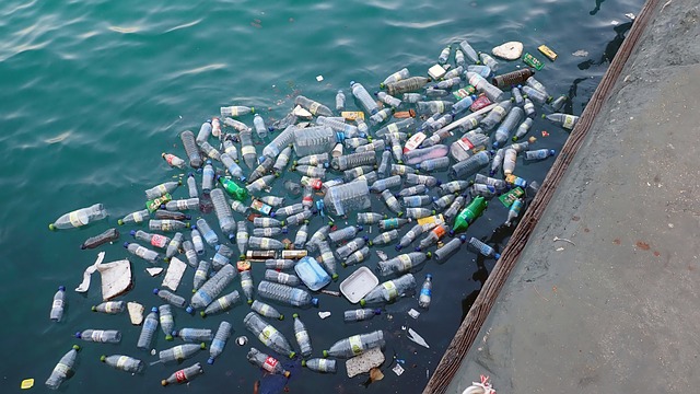 Mais que deviennent nos déchets plastiques ?