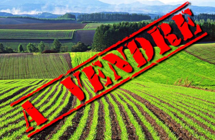 L'Ukraine lève le moratoire sur la vente des terres agricoles contre l'aide du FMI