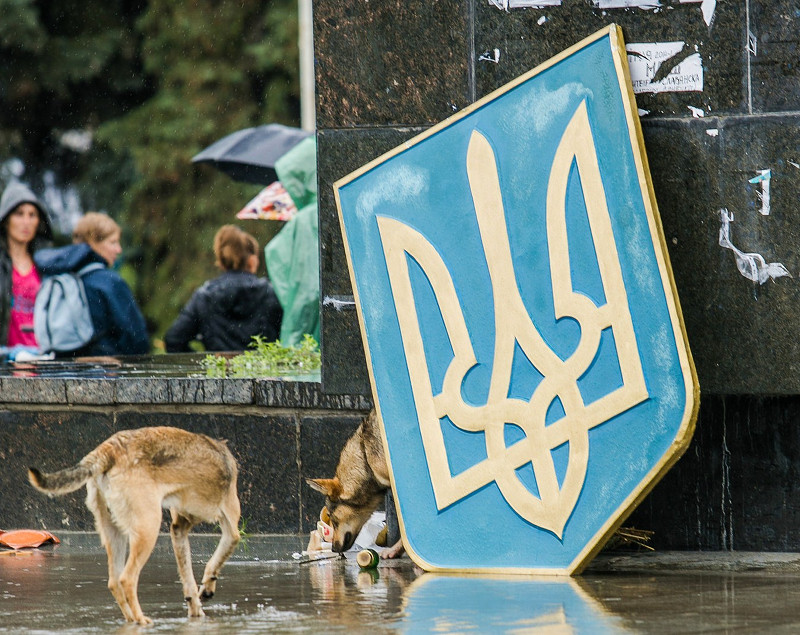 Rouslan Bortnik : L'Ukraine a fait un pas concret vers l'effondrement financier