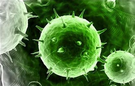 L'épidémie de COVID : la complexité et la systémique ignorées, le réductionnisme, le simplisme et le bon sens glorifiés !
