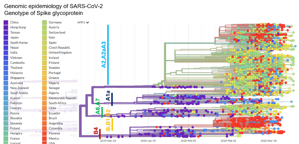 Inquiétudes, variants et Covid-19 : photographie de l'épidémie à la mi-février