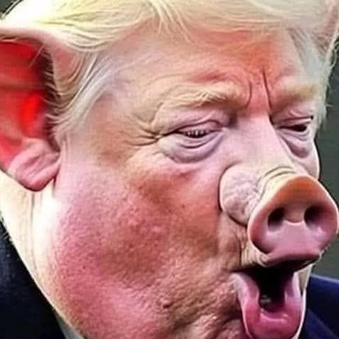 Du berger à la bergère