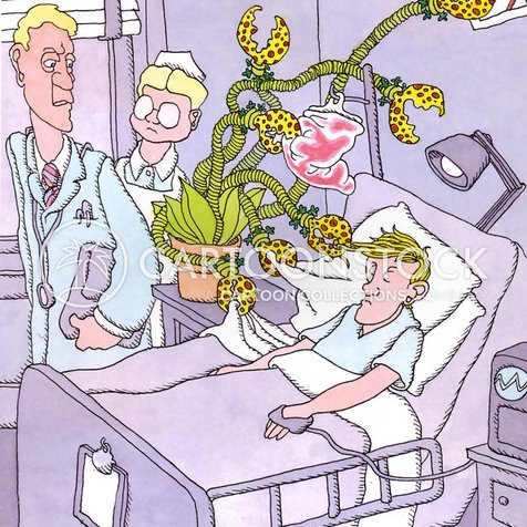 La grande misère de l'hôpital