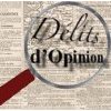Délits d'Opinion