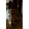 dogon