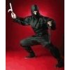 Ninja