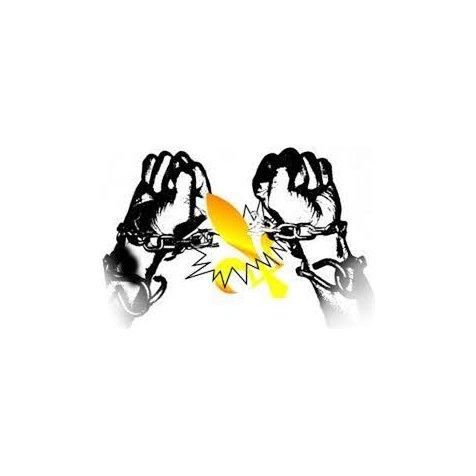 Bas les pattes devant la solidarité ! AgoraVox le média citoyen