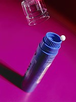 Homéopathie