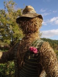 Strawman