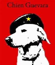 Chien Guevara