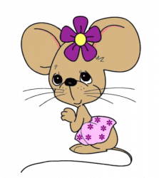 souris