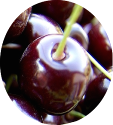 cerise