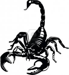 scorpion