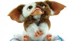 TheMogwai