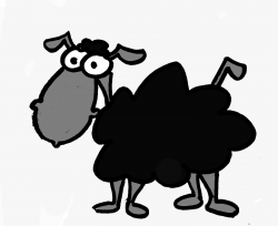 mouton noir