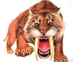 smilodon