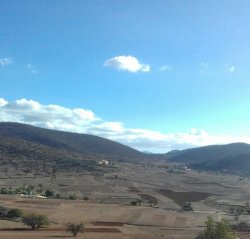 Iphis