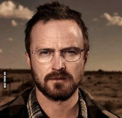 Walter Pinkman