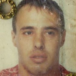 zimbolaktus