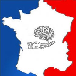 Cerveau Français