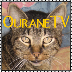 Ourane