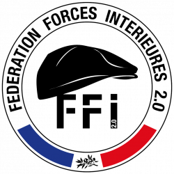 FFI2.0