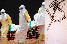 Ebola {JPEG}