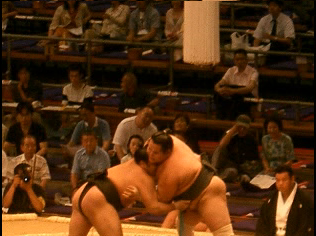 Japon : le sumo lutte pour sa survie