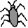 Bug Cafard