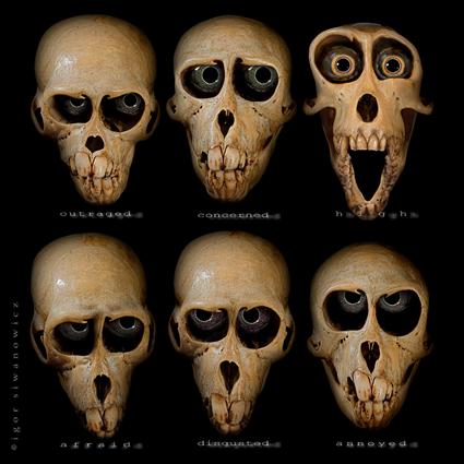 Expressions, Igor Siwanowicz