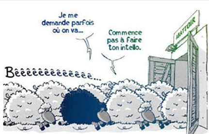 France Blessee Depuis Des Decades Ils Nous Divisent Pour Mieux Regner Laconnectrice S Weblog