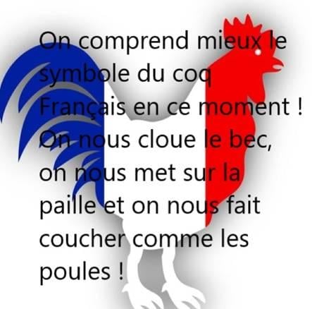 Radio Paris ment.... Coq_francais-2-9331c