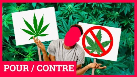 Cannabis pour contre ea5ea