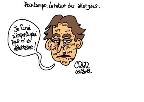 Printemps : retour des allergies : - AgoraVox le média citoyen