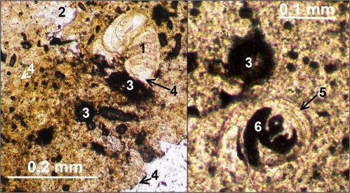 Figure 30 (2)