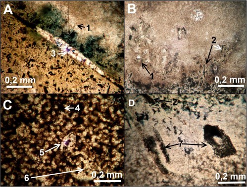 Figure 32 g