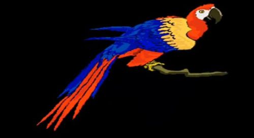 à Qui Le Ptit Chien Dans La Vitrine Wouf Wouf