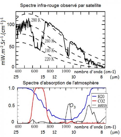 La fable de la fertilisation au CO2 liquide – Les effets