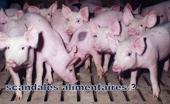 scandales alimentaires {JPEG}