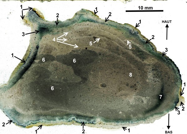 Figure 28 g