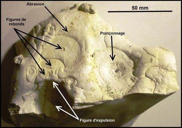 Figure 22